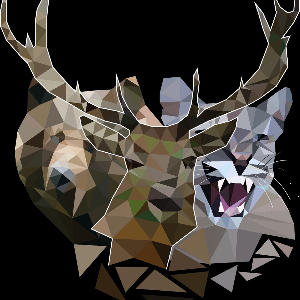 Wild Things - Picture 2 of 2